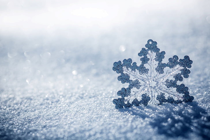 white snowflake wallpaper, ice, winter, macro, nature, christmas, HD wallpaper