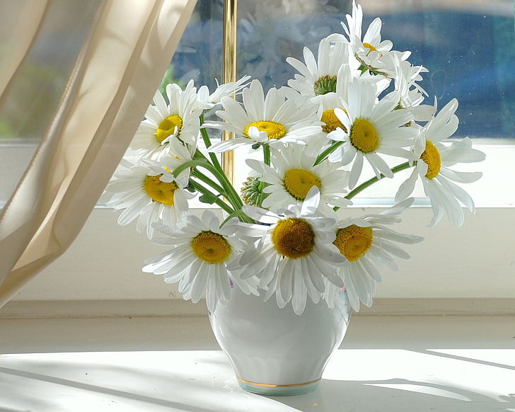 daisy flowers decoration, chamomile, window sill, vase, curtain