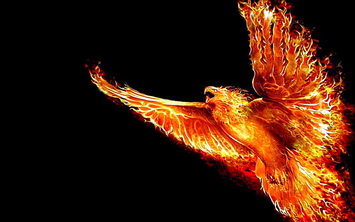 fenix, fire, firebird, flame, Flight, phoenix, animal, no people, HD wallpaper