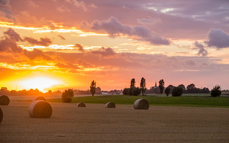 scenery of sunset during daytime, Countryside, Söderslätt, cloud, HD wallpaper