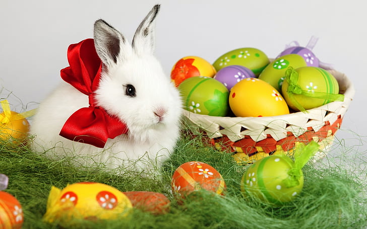 Easter White Rabbit, easter eggs, easter rabbit, easter poster, HD wallpaper
