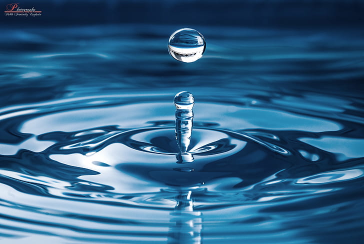 shallow focus photography of water drop, water  drop, agua, gota