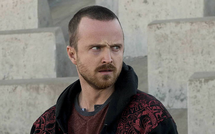 Aaron Paul Short Straight Hairstyle - TheHairStyler.com
