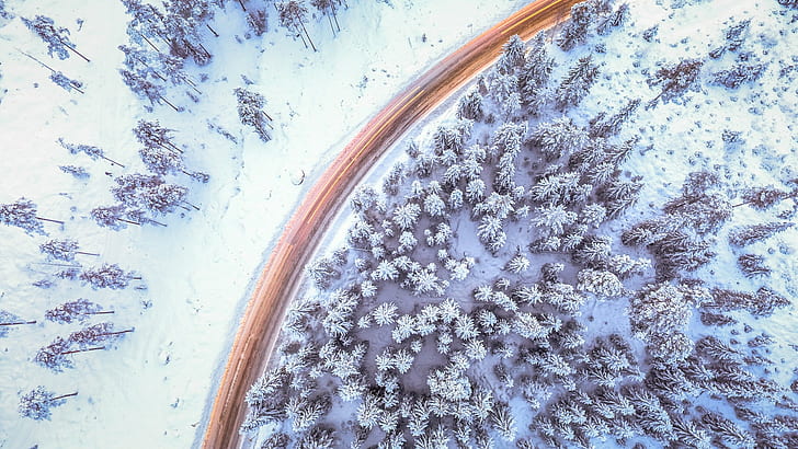 winter, pine trees, snow, road, forest, cold