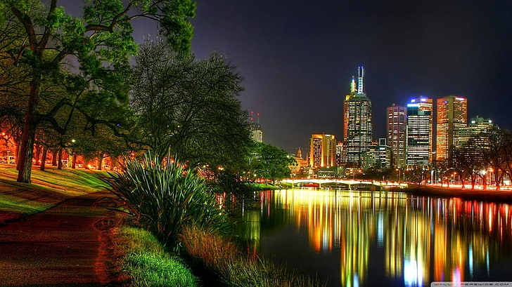 forest beside water formation, Melbourne, Australia, night, lights