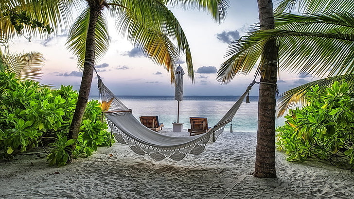 white hammock, landscape, hammocks, palm trees, tropical, sea, HD wallpaper