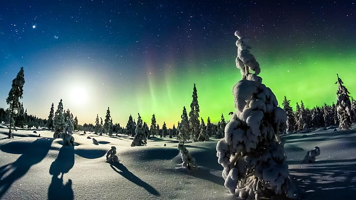 northern lights, sky, winter, atmosphere, snow, tree, aurora borealis, HD wallpaper