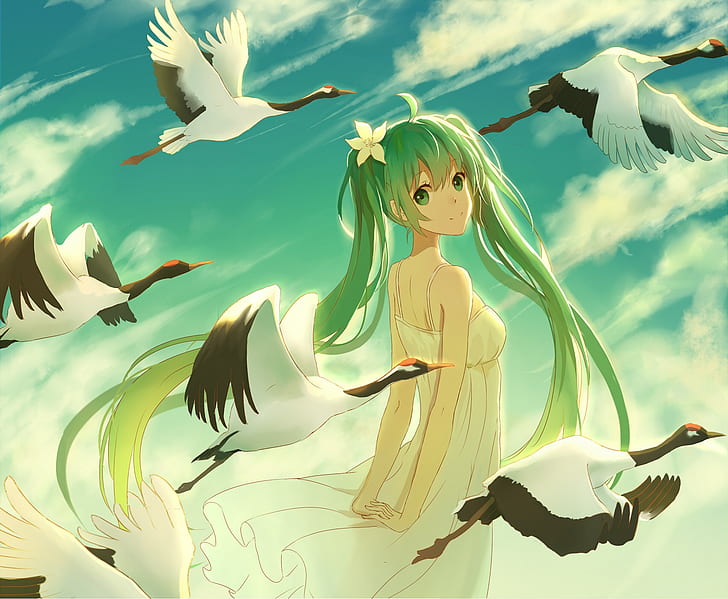 Vocaloid, Hatsune Miku, Long Hair, Twintails, White Dress, Flower in Hair, Bird, Clouds, Anime Girls, HD wallpaper