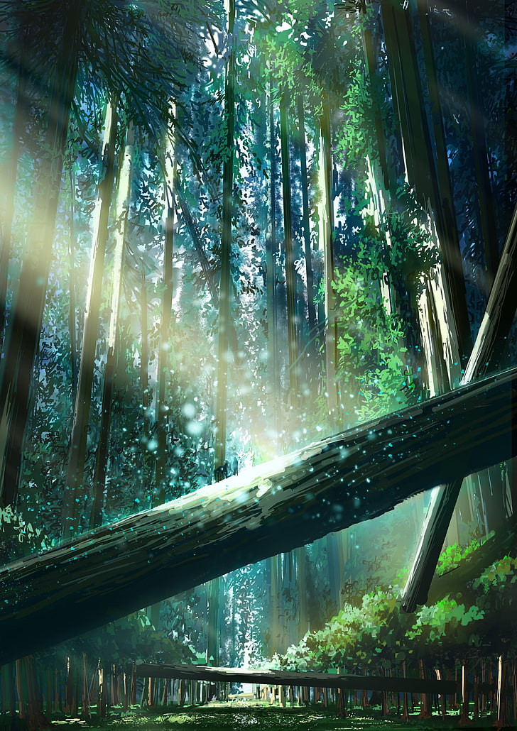 anime, forest, landscape, sunlight