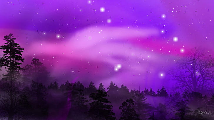 Purple Aurora, pine trees, aurora borealis, firefox persona, northern lights, HD wallpaper