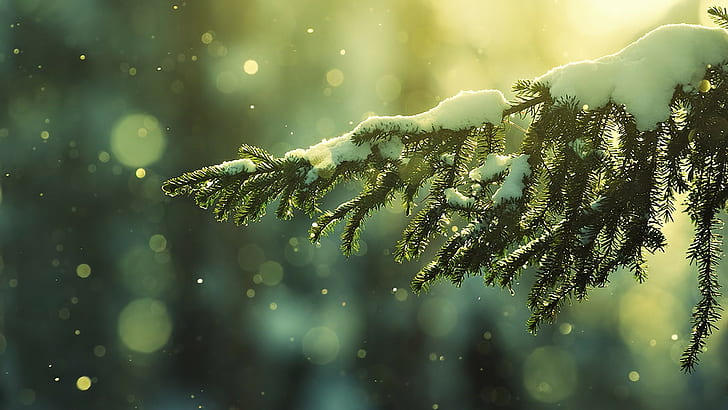 winter, trees, branch, snowy peak, HD wallpaper
