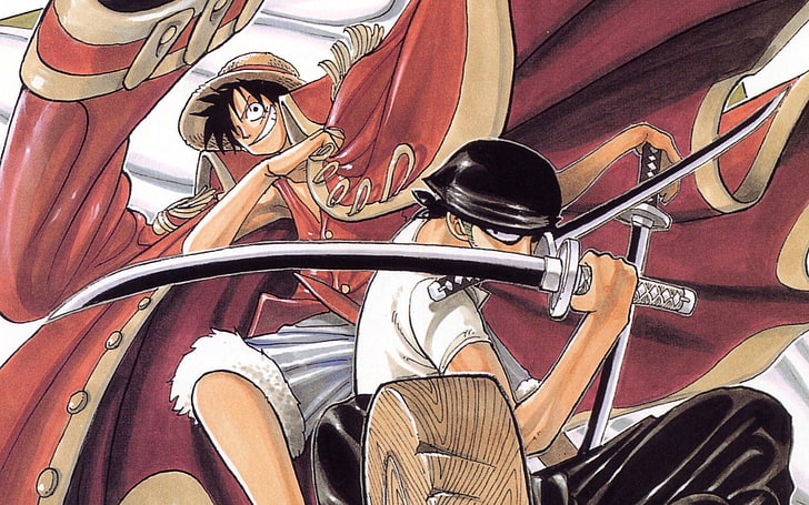 One Piece Monkey D. Luffy and Roronoa Zoro wallpaper, anime, sword