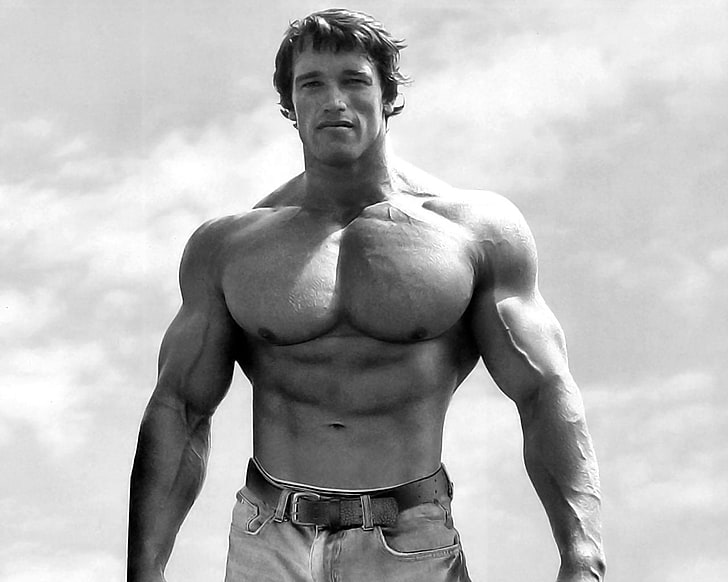 20 Arnold Schwarzenegger HD Wallpapers und Hintergründe