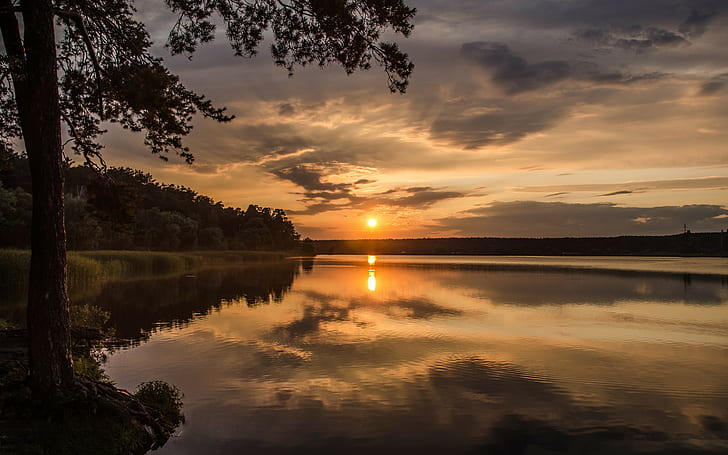 Sun rays on lake, Sunset, forest, trees, reflection, Nature Hd