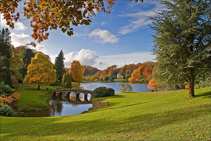 green trees and grasses, autumn, bridge, lake, Park, England, HD wallpaper