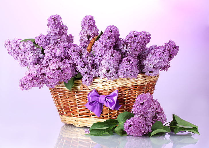 purple cluster petaled flowers, leaves, branches, basket, spring