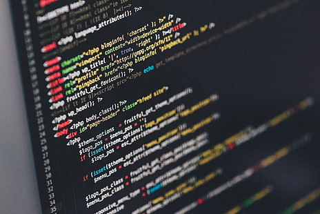 HD wallpaper: programmers, programming, motivational, code, text,  development