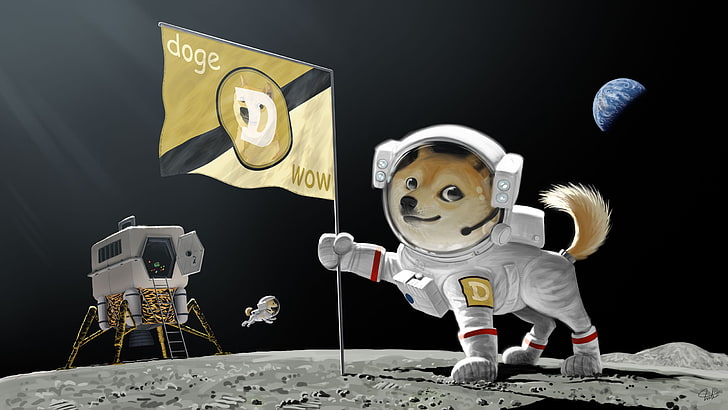 Doge Wow wallpaper, astronaut, earth, flag, landing, meme, moon
