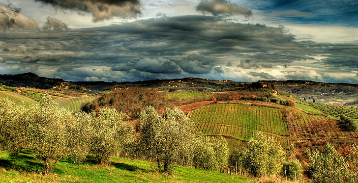 landscape photography of green field, natura, un, quadro, certaldo, HD wallpaper