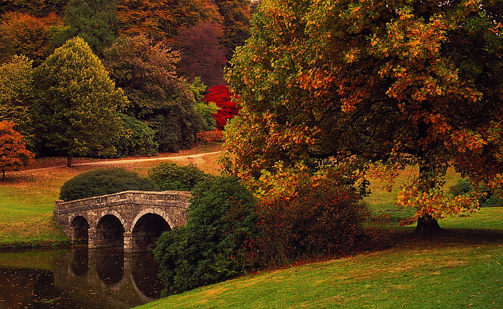 autumn, trees, bridge, Park, England, Wiltshire