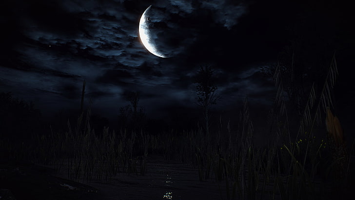 The Witcher 3: Wild Hunt, video games, night, moon, dark, full moon, HD wallpaper