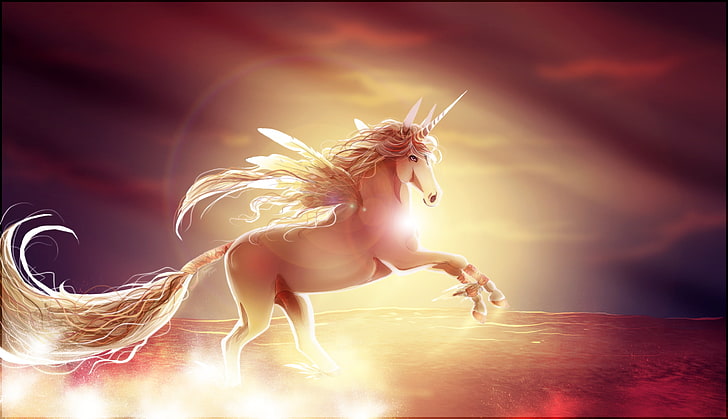 brown unicorn clip art, sunset, horse, wings, stallion, animal, HD wallpaper