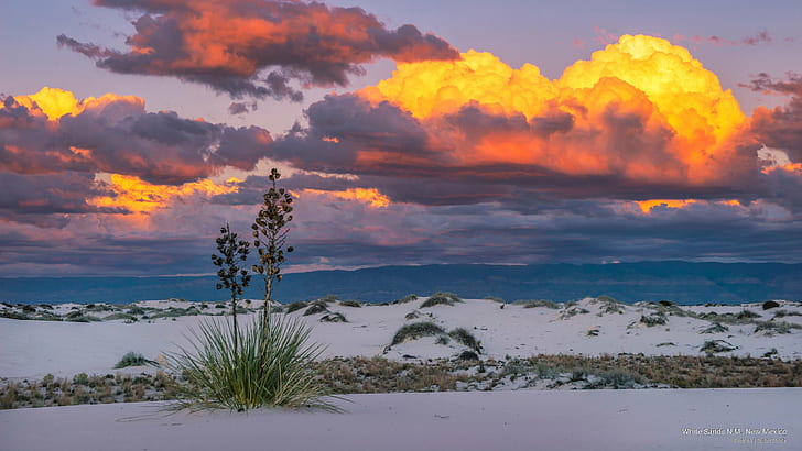 White Sands N.M., New Mexico, North America