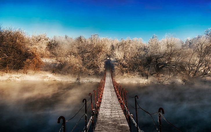 brown bridge, winter, forest, mist, walkway, snow, nature, landscape