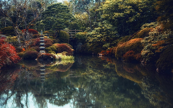 green leaf tree and body of water, nature, landscape, Japanese, HD wallpaper