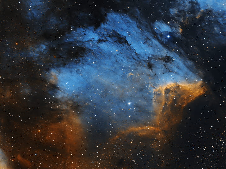 nebula, Pelican Nebula, space, Cygnus constellation, HD wallpaper