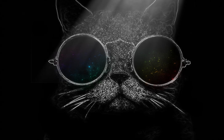 cat with sunglasses illustration, black background, close-up, HD wallpaper