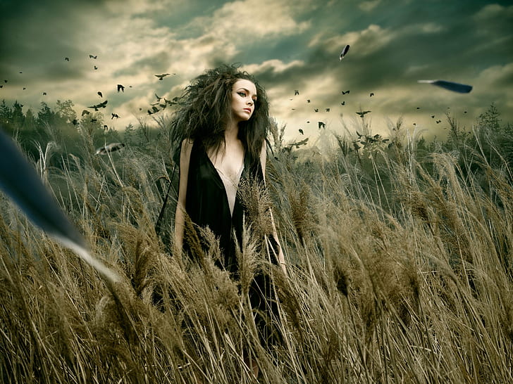 woman wearing black sleeveless dress in grasses photo, Solitude