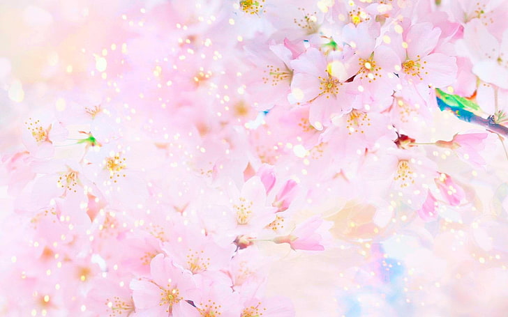 Pink Flower Background Images – Browse 4,588,205 Stock Photos, Vectors, and  Video | Adobe Stock