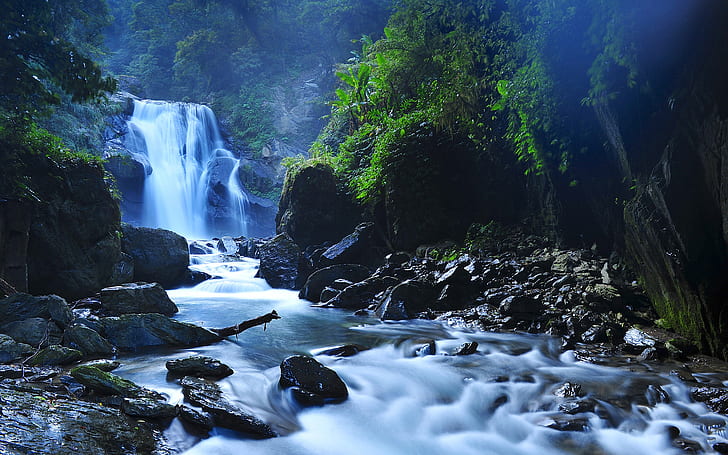 Waterfall Timelapse Trees Forest Jungle Stream Rocks Stones HD, HD wallpaper