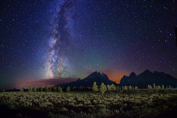 starry night, stars, landscape, Milky Way, trees, mountains, HD wallpaper