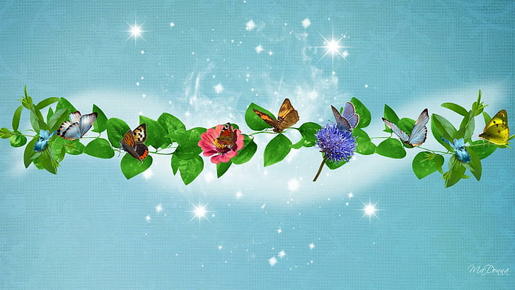 Delightful Butterflies, firefox persona, stars, color, leaves, HD wallpaper
