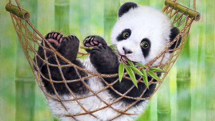 Animal, Panda, Artistic, Baby Animal, Hammock, HD wallpaper