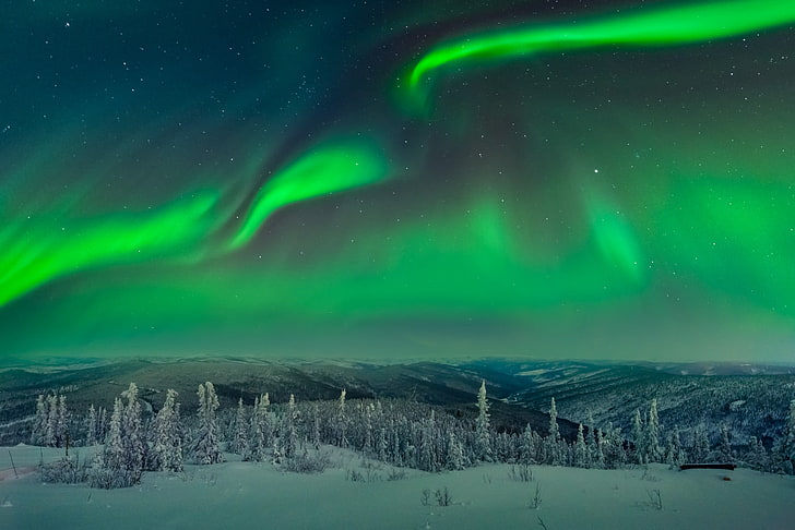Aurora Borealis, trees, landscape, snow, aurorae, cold temperature
