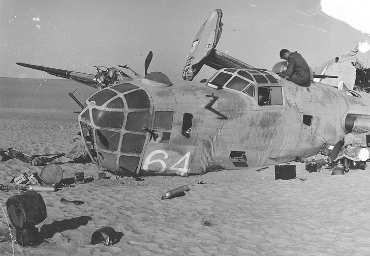 white and black horse print textile, B-24 Liberator, wreck, military
