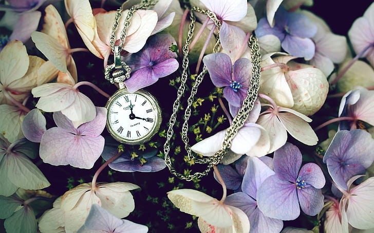 Flowers with a watch, gold pocket watch, HD wallpaper