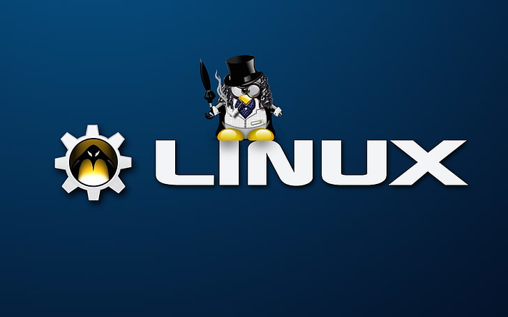 2560x1080px Free Download Hd Wallpaper Linux Tux Penguins Logo Representation Human Representation Wallpaper Flare