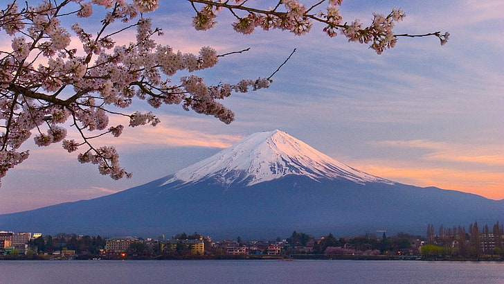 Mount Fuji, Japan, mountains, sky, tree, beauty in nature, plant, HD wallpaper