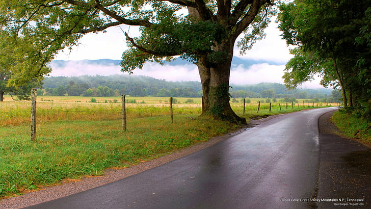 Cades Cove, Great Smoky Mountains N.P., Tennessee, National Parks, HD wallpaper