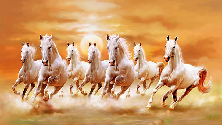 Beautiful White Horses Galloping Orange Sunset Sky Ultra Hd Wallpaper, HD wallpaper