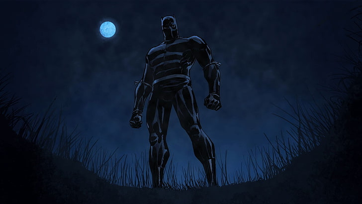 male character digital wallpaper, Marvel Cinematic Universe, Black Panther, HD wallpaper