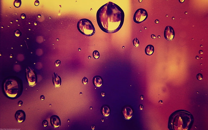 water dews, water drops, window, water on glass, wet, close-up, HD wallpaper