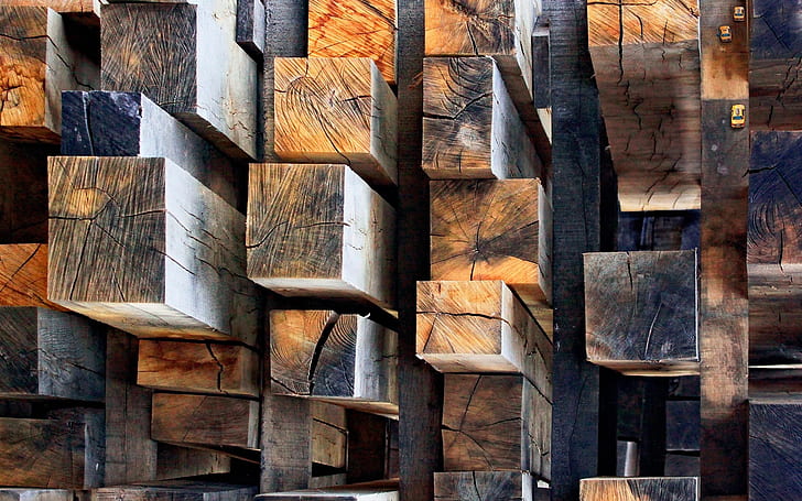 Timber, wood, HD wallpaper