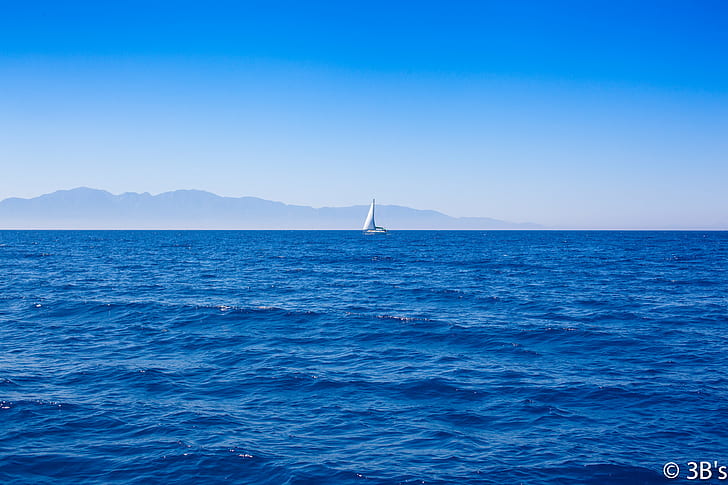 white sail boat on the sea sailing during daytime, sailboat, nautical Vessel