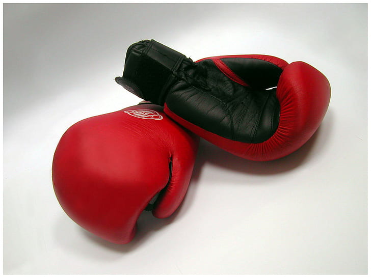 Boxing gloves, pair of red-and-black boxing gloves, red gloves