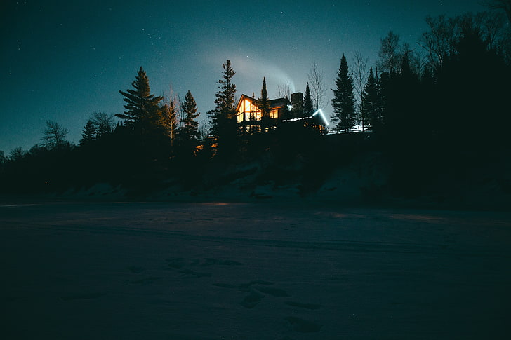 pine tree, refuge, night, starry sky, forest, winter, snow, dark, HD wallpaper